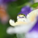 水滴3