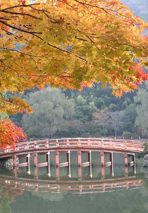 橋は、子供の頃にもあったはずナンだけど記憶が・・・(-.-)