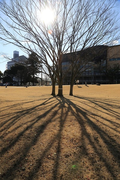 過日の平中央公園