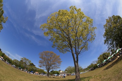 広野町のパークフェス