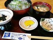 「やまかく」の生シラス丼