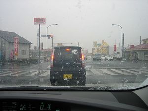 水戸でも雪が降っていた!