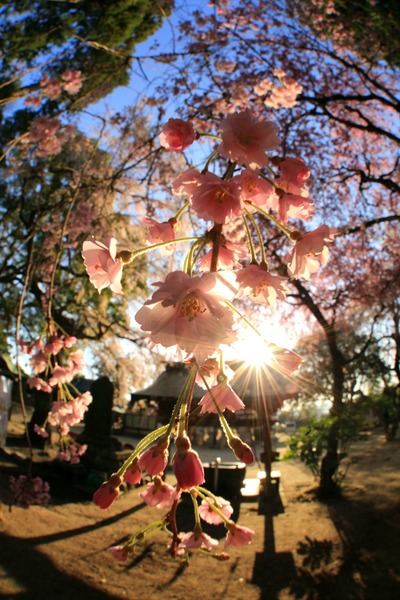 三島八幡神社1