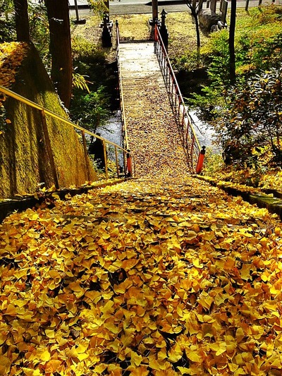 田人・小土神社2