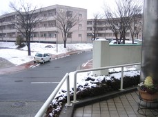 雪の朝1