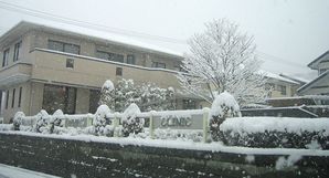 どうしちゃったんでしょう、この雪・・・1