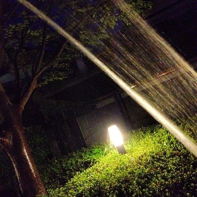 植物だって喉は渇くでしょう(笑)