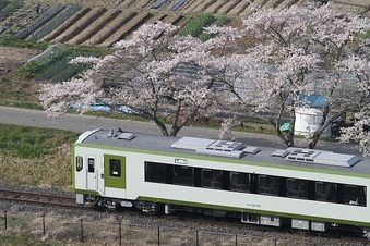展望台から写す