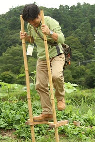 大和田自然農園さん、竹馬2