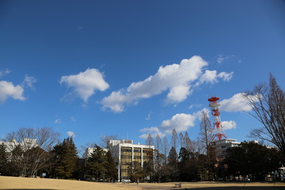 朝の平中央公園