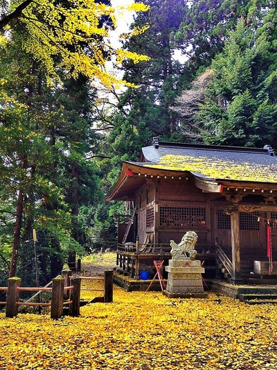 田人・小土神社3
