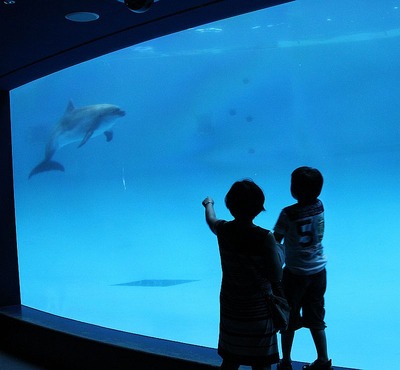 アクアワールド大洗水族館4
