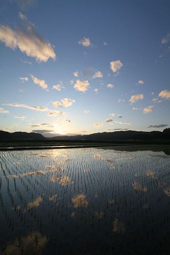 夕暮れの風景