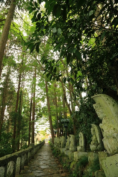 閼伽井嶽周辺2
