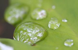 水滴に写し込みをしたかったのですが・・・