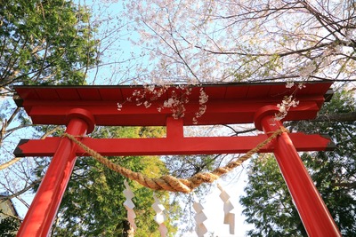 三島八幡神社5