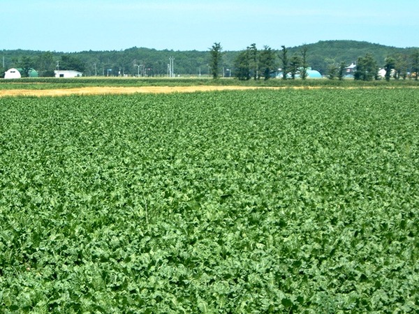 2004_0810_103515AA