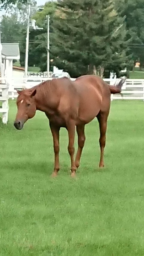 no title