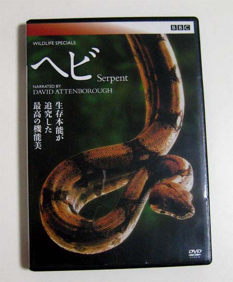 snake DVD01