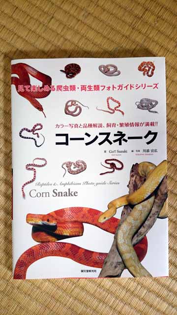 コーン本