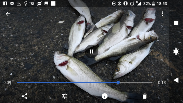 Screenshot_20180513-185326