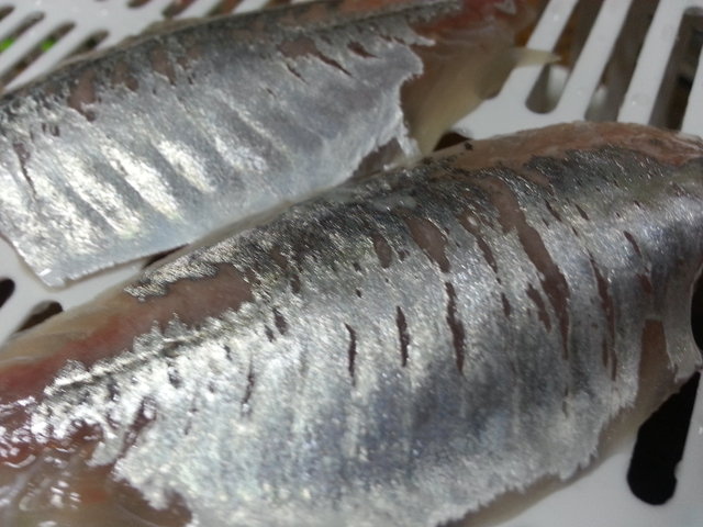 20141117_172020