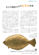 110322_sakana