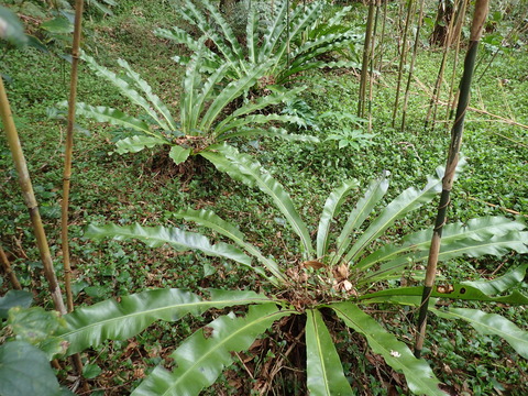 P3050650