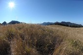 11122802