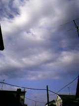 050520_0608~001.jpg