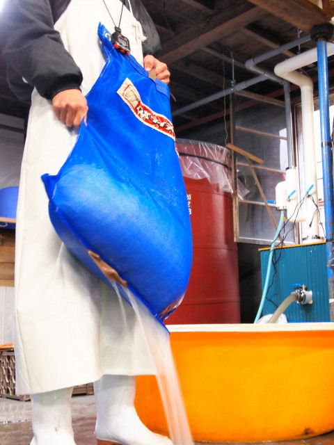 限定給水3