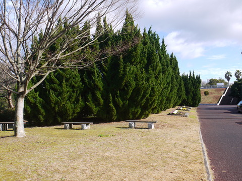 P1070642