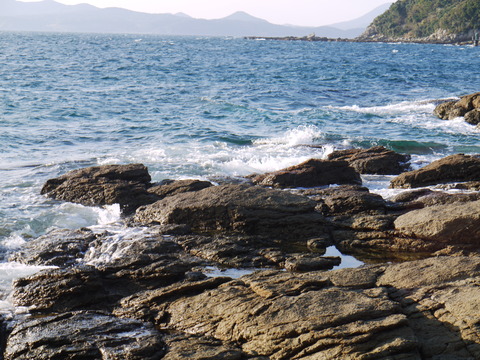 P1090507