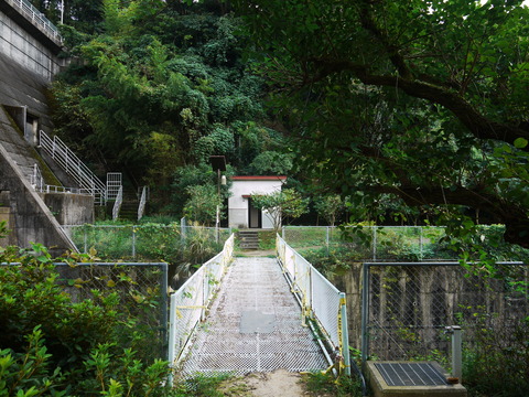 P1030600