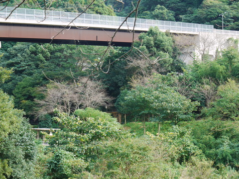 P1030583