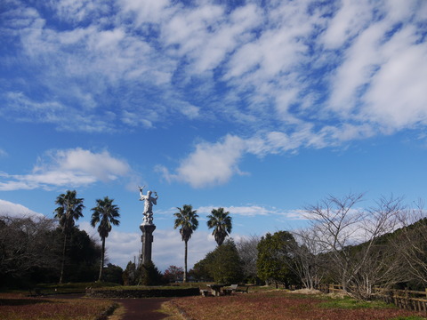 P1070654
