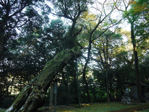 P1050478