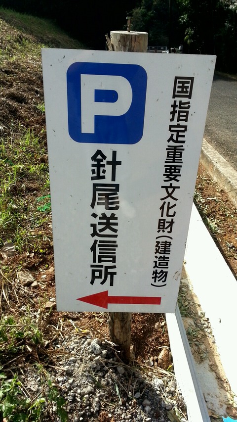 87335da8.g