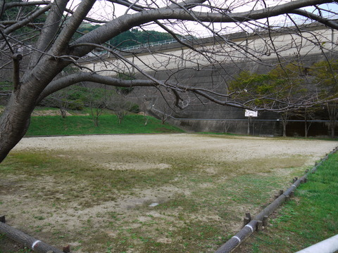 P1030591