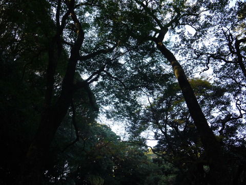 P1050484
