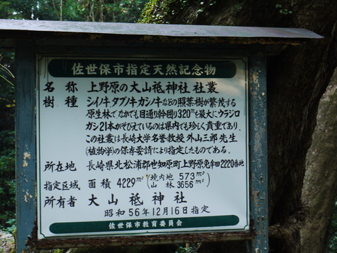 P1050477