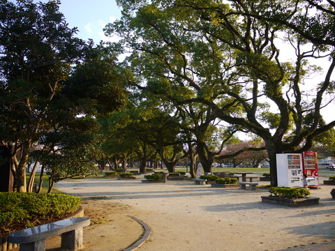 P1050829