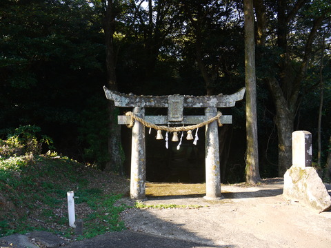 P1050493
