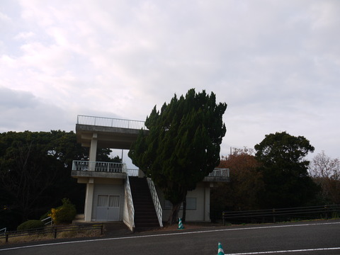 P1070400