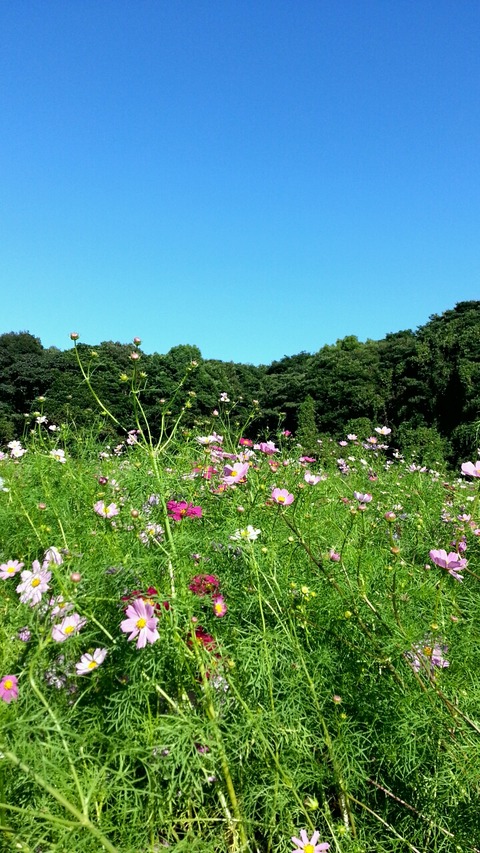 bee6f2f6.g