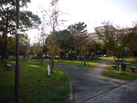 P1050817