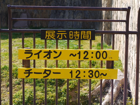 P1100126