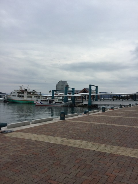 写真 2015-12-20 12 10 25
