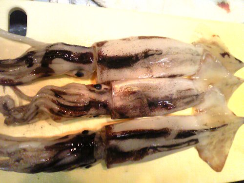 0123surume