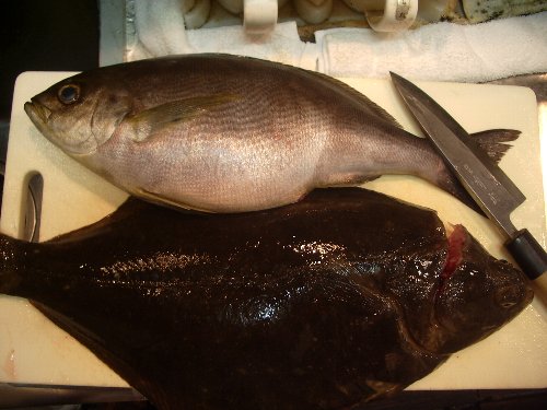 0622isaki_kari